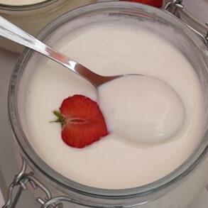 How to make yogurt